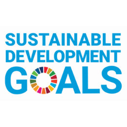 img_logo_E_SDG_logo_without_UN_emblem_square_CMYK@2x